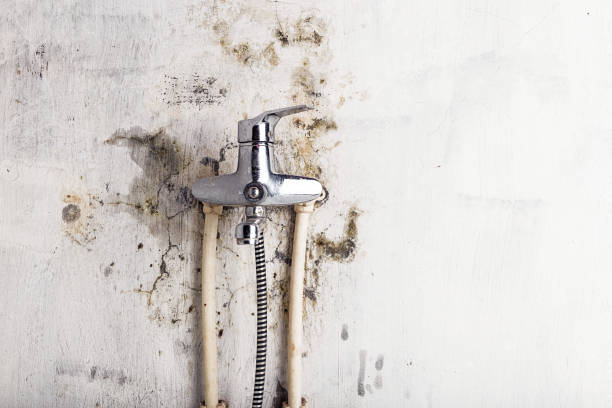 Water Damage Restoration in Jackpot, NV