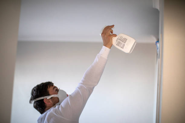 Best Mold Remediation  in Jackpot, NV